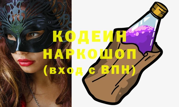 индика Вязники